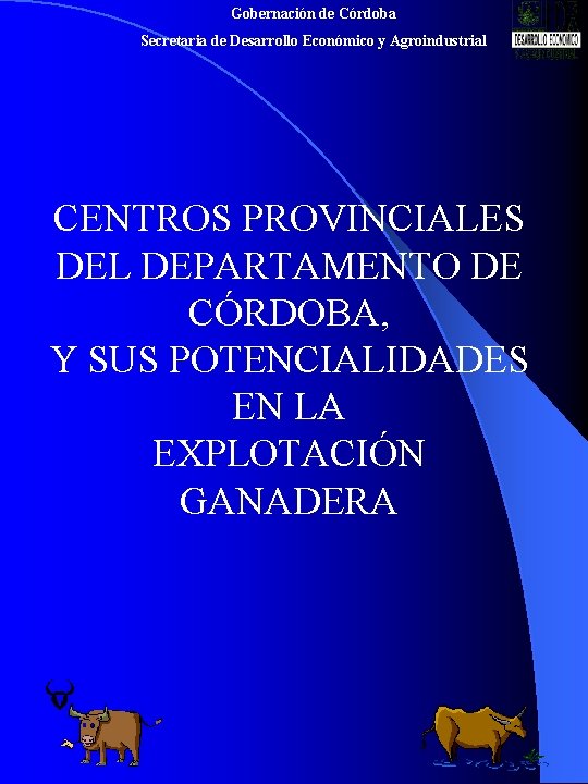 Gobernación de Córdoba Secretaria de Desarrollo Económico y Agroindustrial CENTROS PROVINCIALES DEL DEPARTAMENTO DE