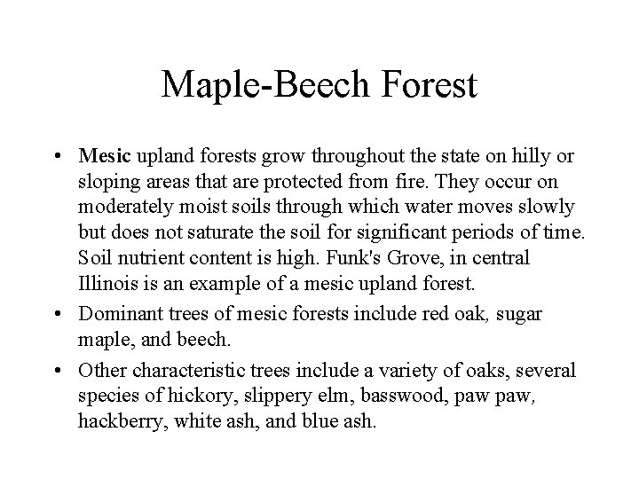 Maple-Beech Forest • Mesic upland forests grow throughout the state on hilly or sloping