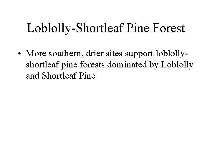 Loblolly-Shortleaf Pine Forest • More southern, drier sites support loblollyshortleaf pine forests dominated by