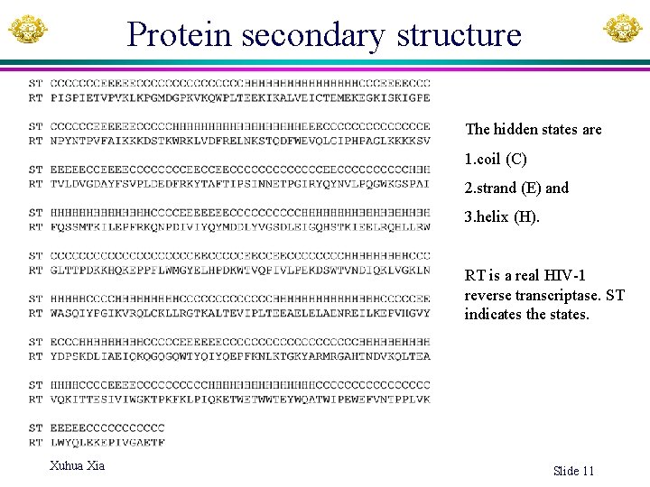 Protein secondary structure The hidden states are 1. coil (C) 2. strand (E) and