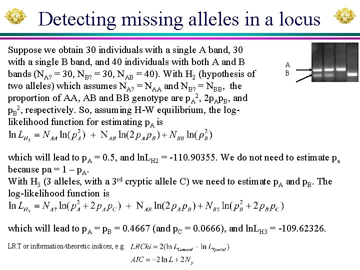 Detecting missing alleles in a locus Suppose we obtain 30 individuals with a single