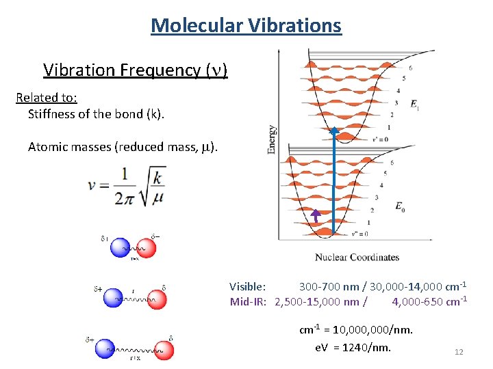 Molecular Vibrations Vibration Frequency (n) Related to: Stiffness of the bond (k). Atomic masses Molecular Vibrations Vibration Frequency (n) Related to: Stiffness of the bond (k). Atomic masses