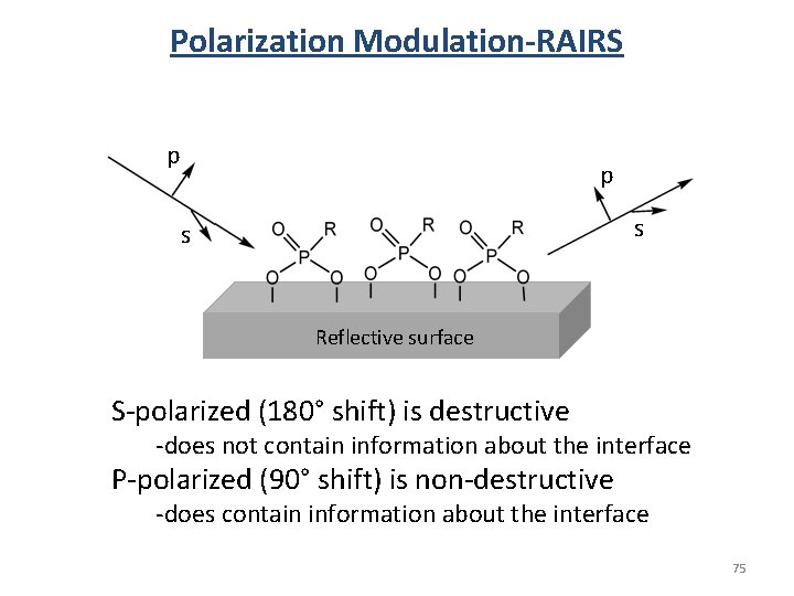 Polarization Modulation-RAIRS p p s s Reflective surface S-polarized (180° shift) is destructive -does Polarization Modulation-RAIRS p p s s Reflective surface S-polarized (180° shift) is destructive -does