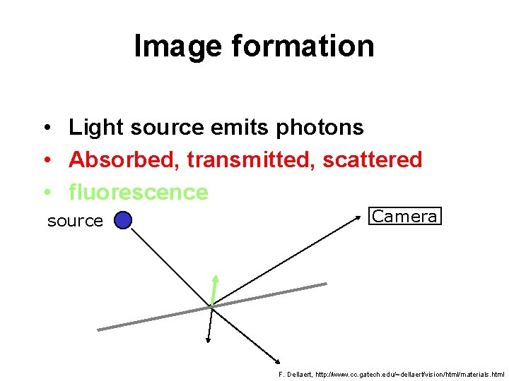 Image formation • Light source emits photons • Absorbed, transmitted, scattered • fluorescence source