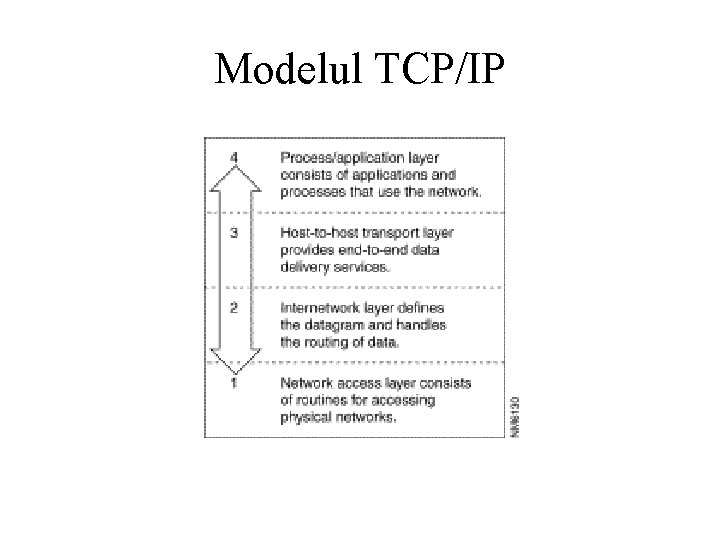 Modelul TCP/IP 