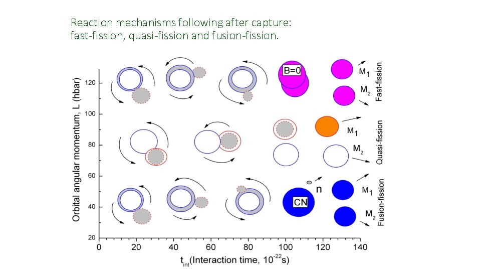 Reaction mechanisms following after capture: fast-fission, quasi-fission and fusion-fission. 