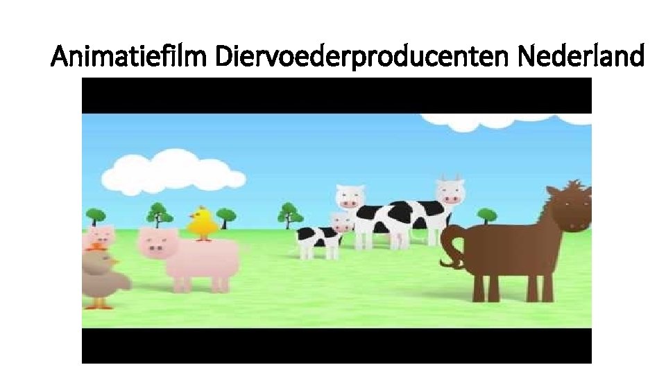 Animatiefilm Diervoederproducenten Nederland 