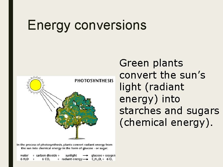 Energy conversions Green plants convert the sun’s light (radiant energy) into starches and sugars