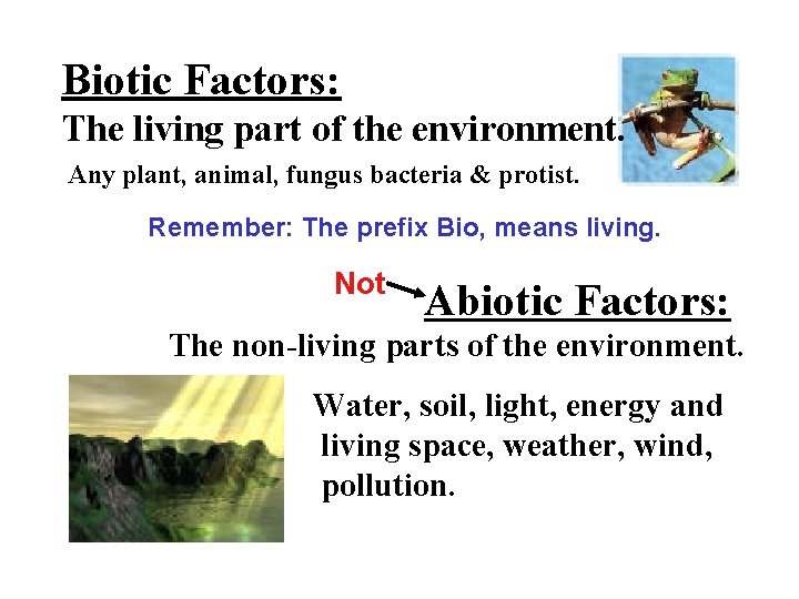 Biotic Factors: The living part of the environment. Any plant, animal, fungus bacteria &