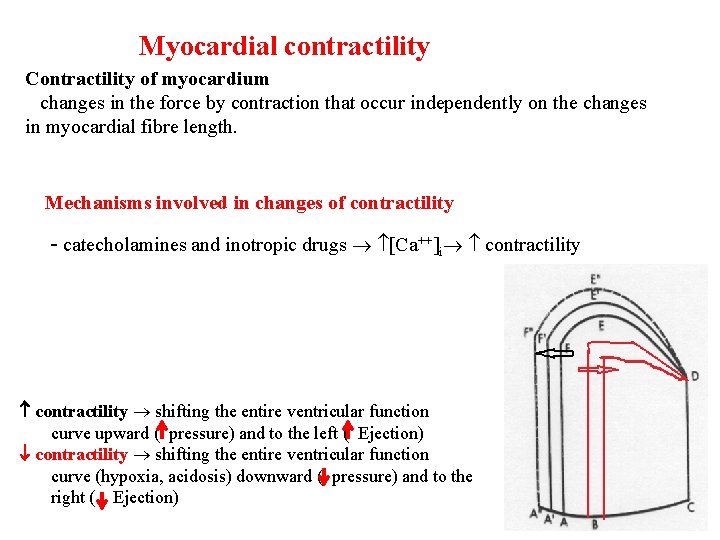 Myocardial contractility Contractility of myocardium changes in the force by contraction that occur independently