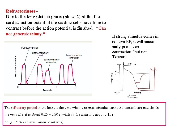 Refractoriness Due to the long plateau phase (phase 2) of the fast cardiac action