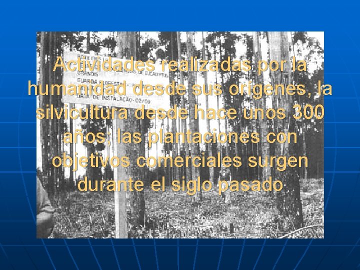 Actividades realizadas por la humanidad desde sus orígenes, la silvicultura desde hace unos 300