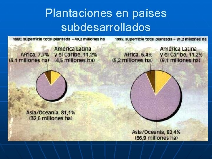 Plantaciones en países subdesarrollados 