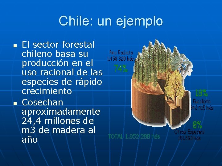 Chile: un ejemplo n n El sector forestal chileno basa su producción en el