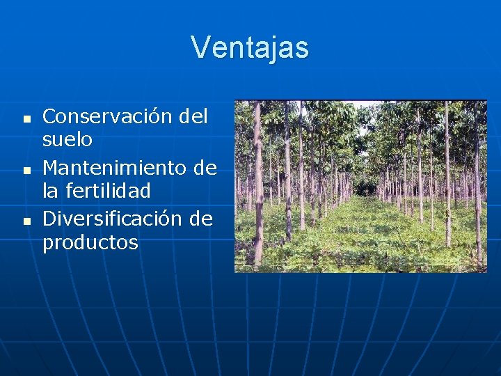 Ventajas n n n Conservación del suelo Mantenimiento de la fertilidad Diversificación de productos