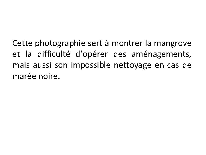 Cette photographie sert à montrer la mangrove et la difficulté d’opérer des aménagements, mais