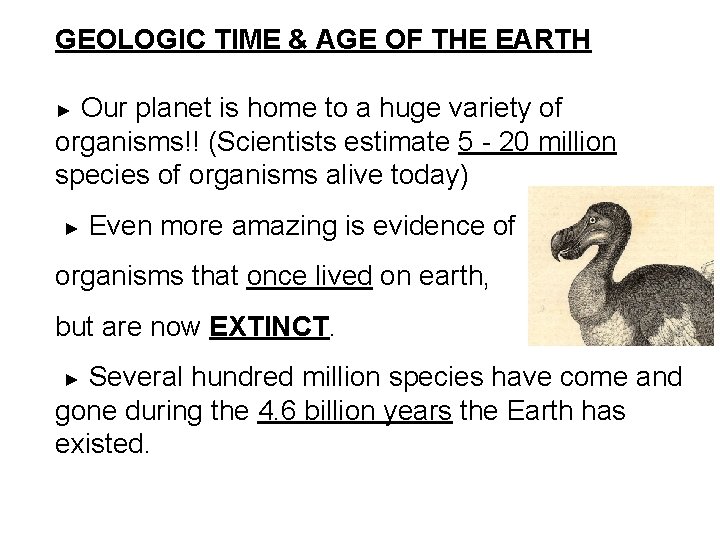 GEOLOGIC TIME & AGE OF THE EARTH Our planet is home to a huge GEOLOGIC TIME & AGE OF THE EARTH Our planet is home to a huge