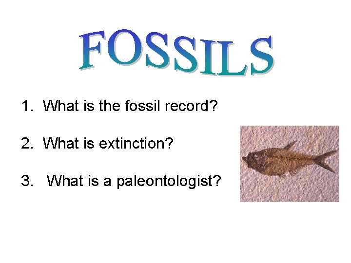1. What is the fossil record? 2. What is extinction? 3. What is a 1. What is the fossil record? 2. What is extinction? 3. What is a