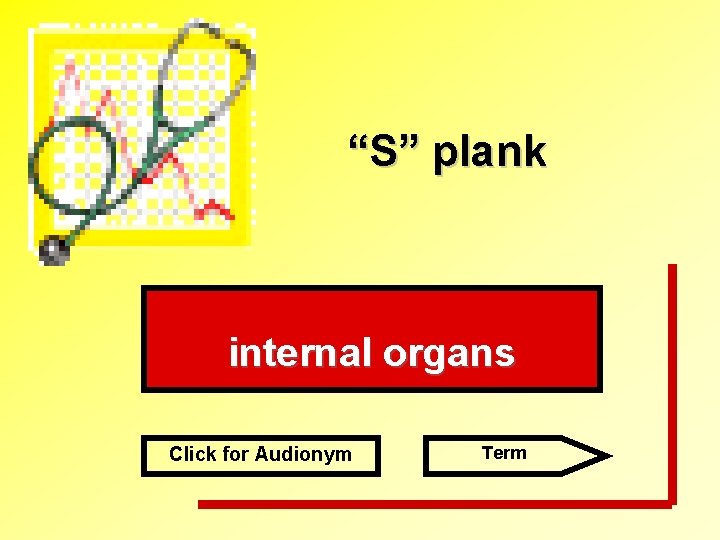 “S” plank internal organs Click for Audionym Term 