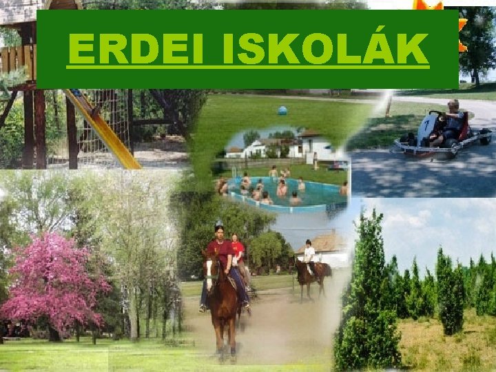 ERDEI ISKOLÁK 