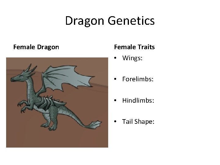 Dragon Genetics Female Dragon Female Traits • Wings: • Forelimbs: • Hindlimbs: • Tail