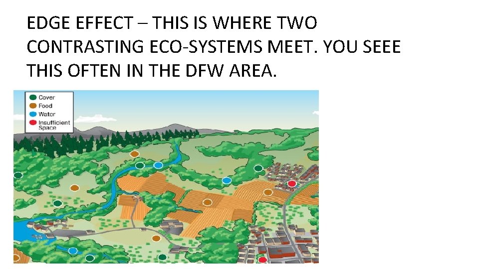 EDGE EFFECT – THIS IS WHERE TWO CONTRASTING ECO-SYSTEMS MEET. YOU SEEE THIS OFTEN