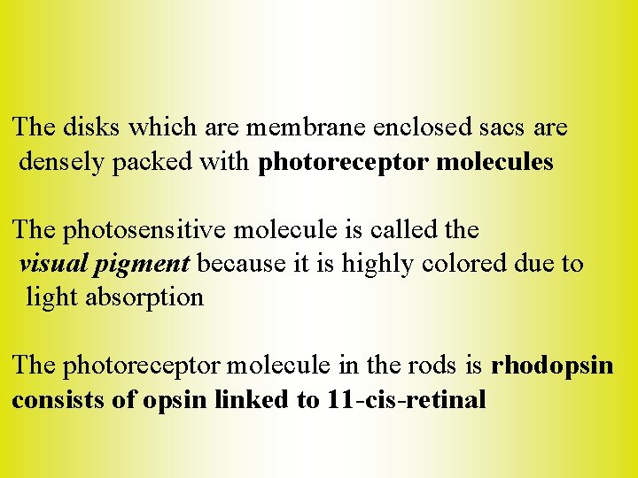 The disks which are membrane enclosed sacs are densely packed with photoreceptor molecules The