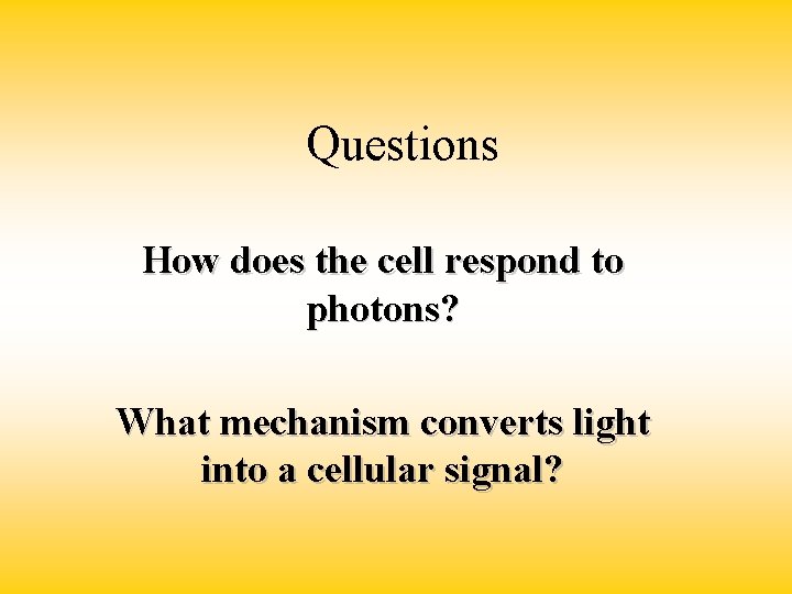 Questions How does the cell respond to photons? What mechanism converts light into a