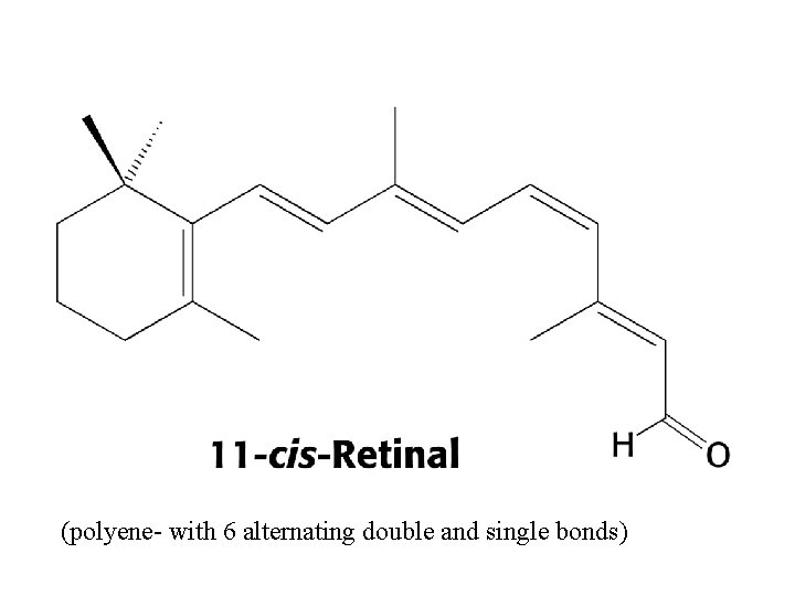(polyene- with 6 alternating double and single bonds) 