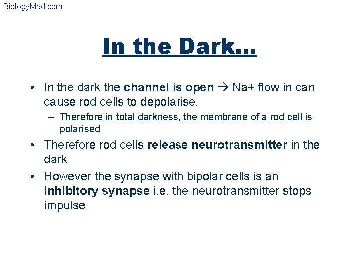 Biology. Mad. com In the Dark… • In the dark the channel is open