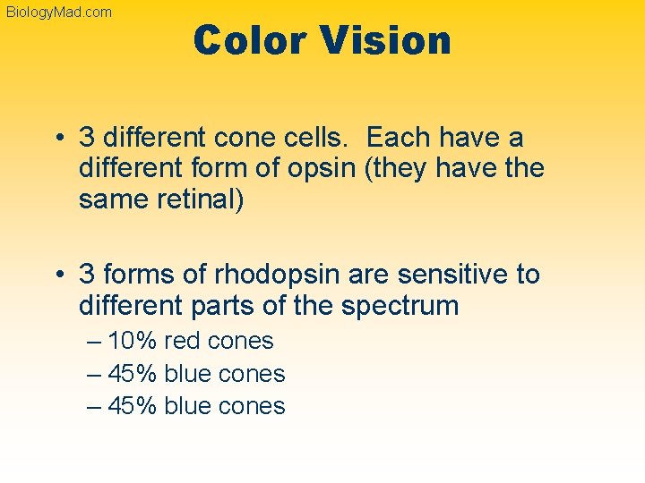 Biology. Mad. com Color Vision • 3 different cone cells. Each have a different
