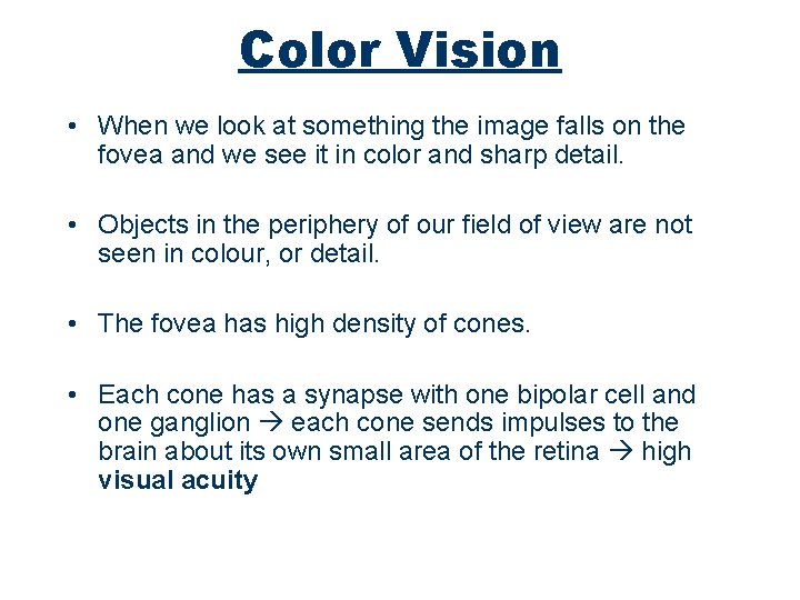 Color Vision • When we look at something the image falls on the fovea