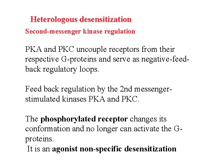 Heterologous desensitization Second-messenger kinase regulation PKA and PKC uncouple receptors from their respective G-proteins
