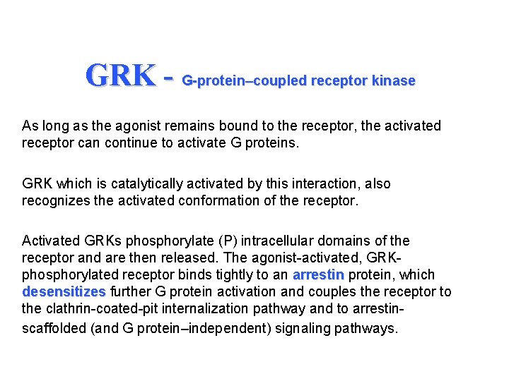 GRK - G-protein–coupled receptor kinase As long as the agonist remains bound to the