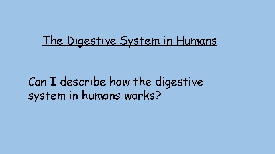 The Digestive System in Humans Can I describe how the digestive system in humans