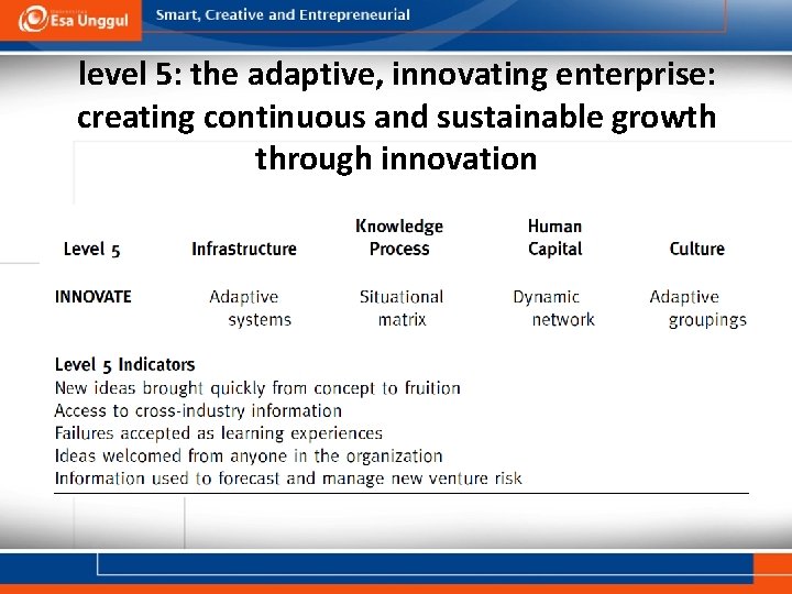 level 5: the adaptive, innovating enterprise: creating continuous and sustainable growth through innovation 