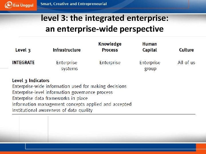 level 3: the integrated enterprise: an enterprise-wide perspective 