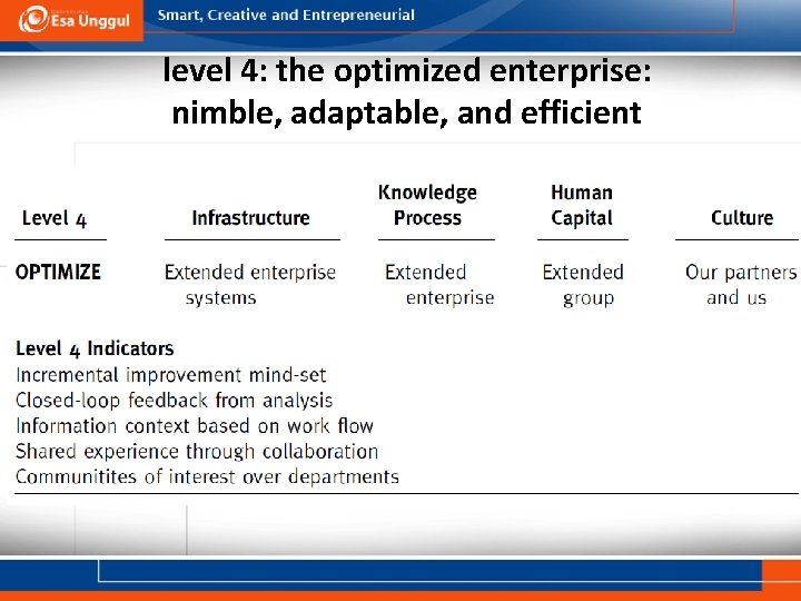 level 4: the optimized enterprise: nimble, adaptable, and efficient 