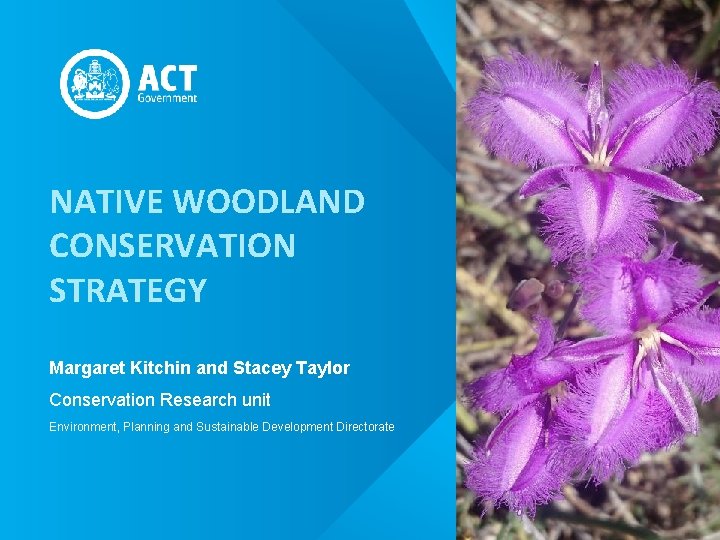 NATIVE WOODLAND CONSERVATION STRATEGY Margaret Kitchin And Stacey NATIVE WOODLAND CONSERVATION STRATEGY Margaret Kitchin And Stacey