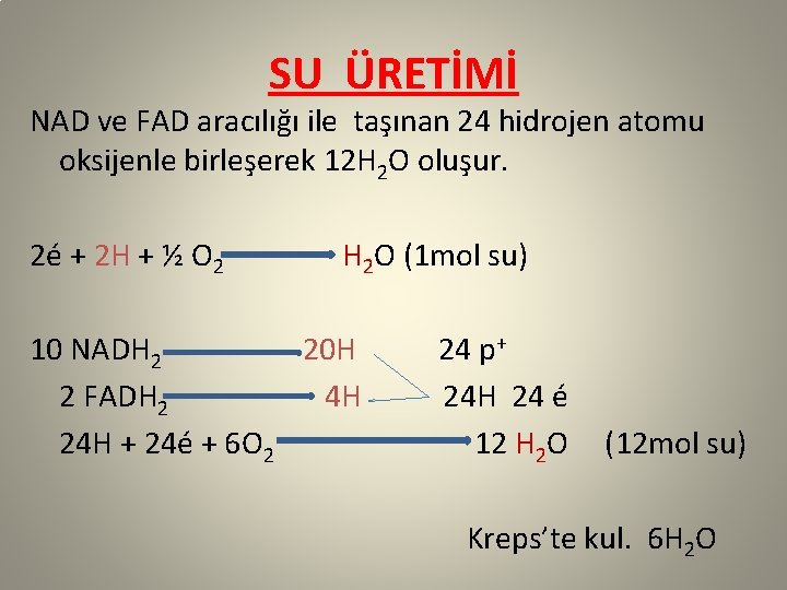 SU ÜRETİMİ NAD ve FAD aracılığı ile taşınan 24 hidrojen atomu oksijenle birleşerek 12