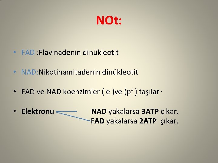NOt: • FAD : Flavinadenin dinükleotit • NAD: Nikotinamitadenin dinükleotit • FAD ve NAD
