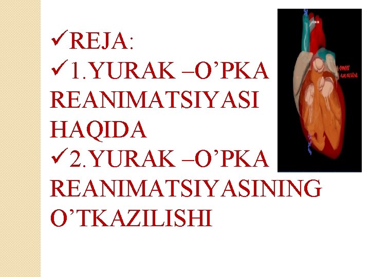 üREJA: ü 1. YURAK –O’PKA REANIMATSIYASI HAQIDA ü 2. YURAK –O’PKA REANIMATSIYASINING O’TKAZILISHI 