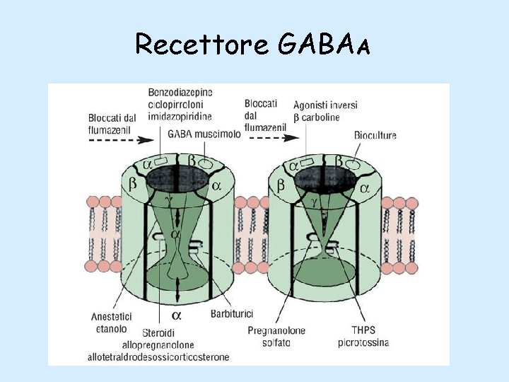 Recettore GABAA 