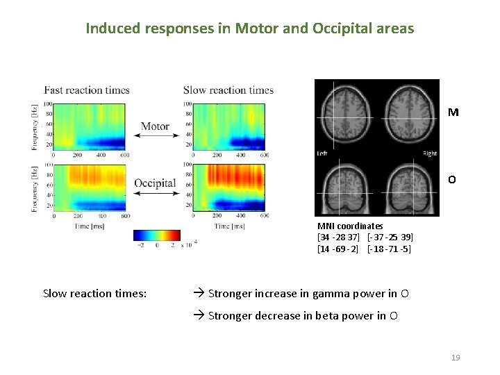 Induced responses in Motor and Occipital areas M O MNI coordinates [34 -28 37]