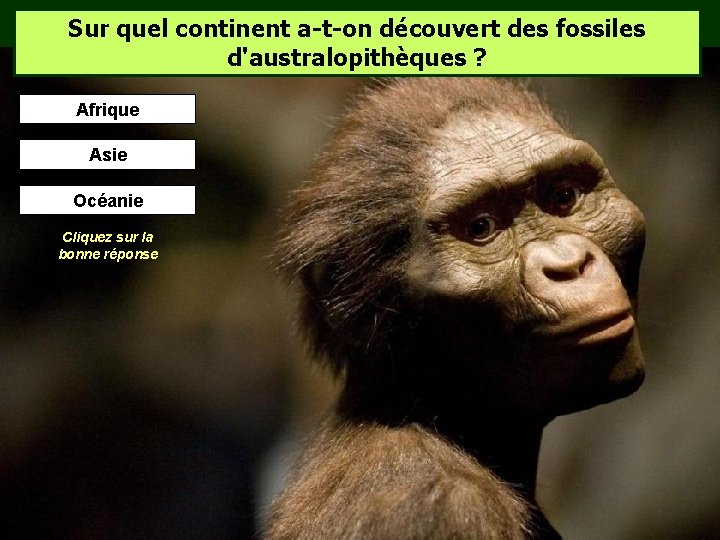 Sur quel continent a-t-on découvert des fossiles d'australopithèques ? Afrique Asie Océanie Cliquez sur Sur quel continent a-t-on découvert des fossiles d'australopithèques ? Afrique Asie Océanie Cliquez sur