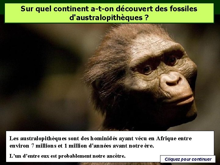 Sur quel continent a-t-on découvert des fossiles d'australopithèques ? Les australopithèques sont des hominidés Sur quel continent a-t-on découvert des fossiles d'australopithèques ? Les australopithèques sont des hominidés