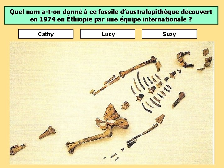 Quel nom a-t-on donné à ce fossile d’australopithèque découvert en 1974 en Éthiopie par Quel nom a-t-on donné à ce fossile d’australopithèque découvert en 1974 en Éthiopie par