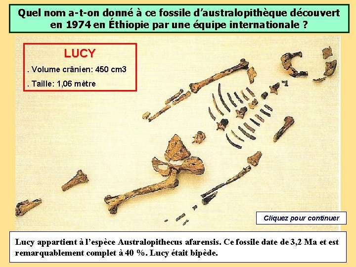Quel nom a-t-on donné à ce fossile d’australopithèque découvert en 1974 en Éthiopie par Quel nom a-t-on donné à ce fossile d’australopithèque découvert en 1974 en Éthiopie par
