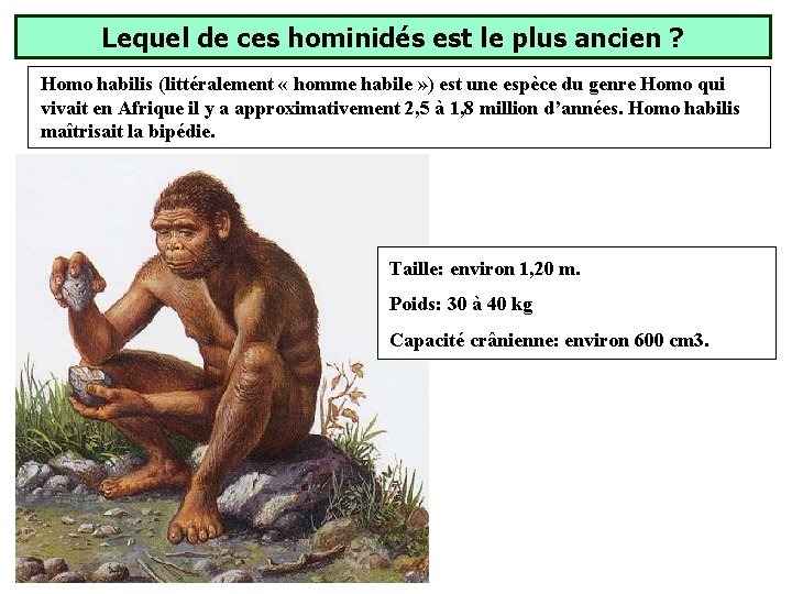 Lequel de ces hominidés est le plus ancien ? Homo habilis (littéralement « homme Lequel de ces hominidés est le plus ancien ? Homo habilis (littéralement « homme