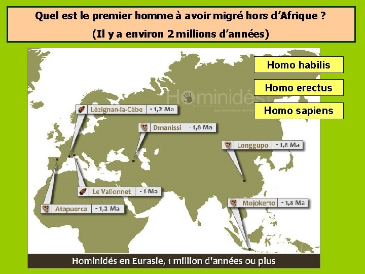 Quel est le premier homme à avoir migré hors d’Afrique ? (Il y a Quel est le premier homme à avoir migré hors d’Afrique ? (Il y a